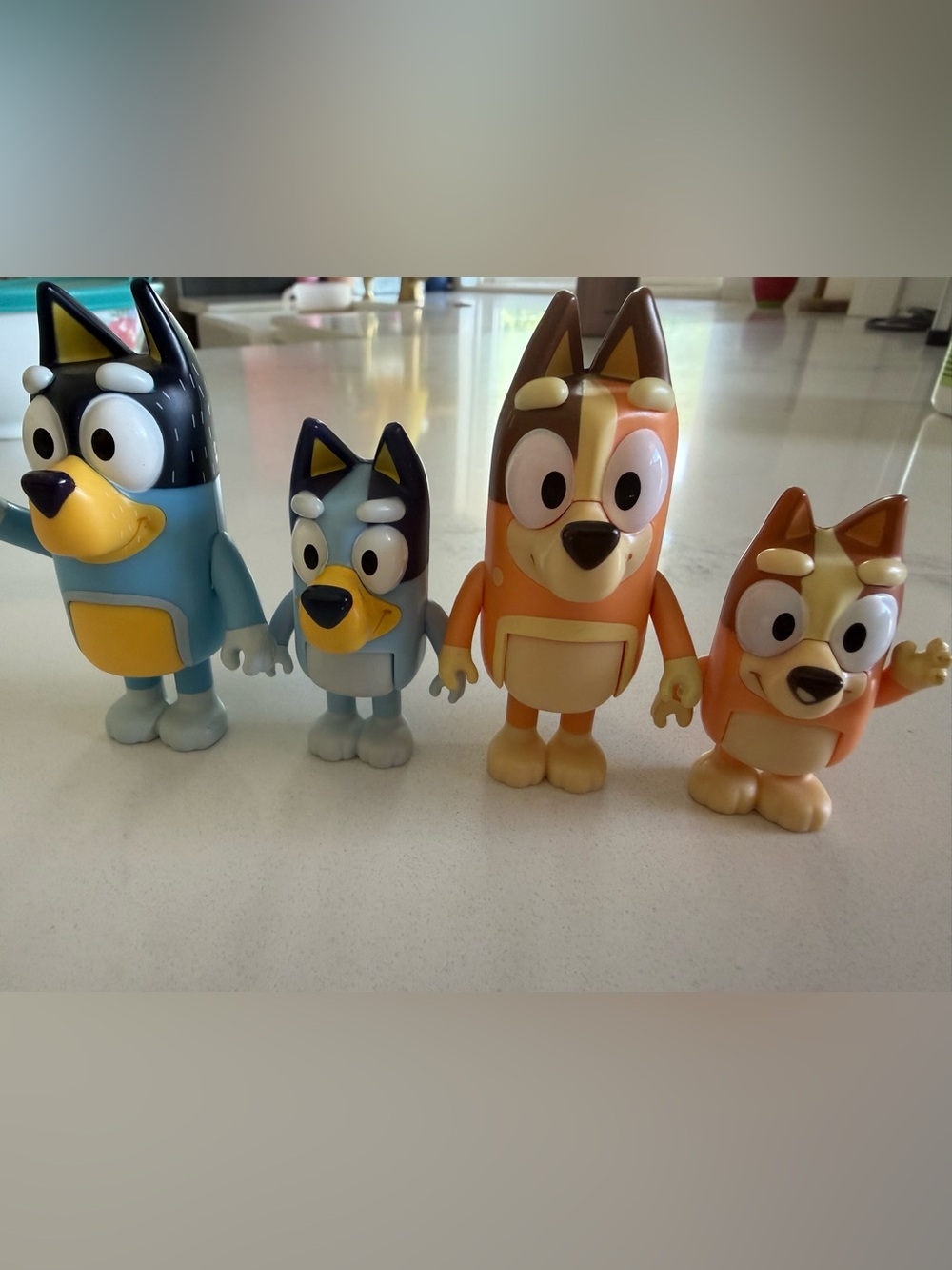 BLUEY the entire family
